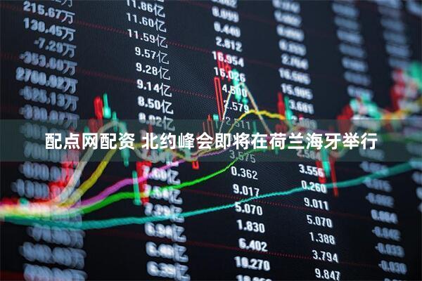 配点网配资 北约峰会即将在荷兰海牙举行