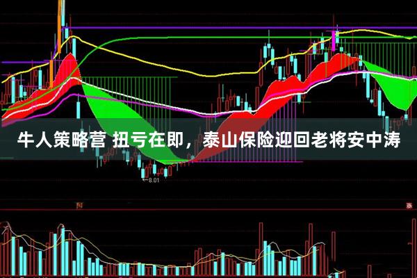牛人策略营 扭亏在即，泰山保险迎回老将安中涛