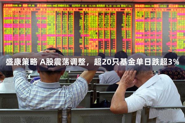 盛康策略 A股震荡调整，超20只基金单日跌超3%