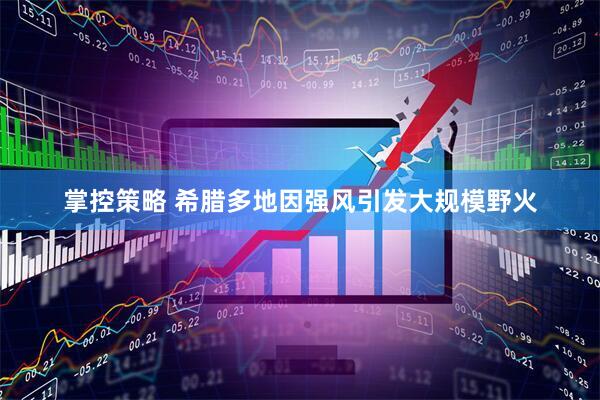 掌控策略 希腊多地因强风引发大规模野火