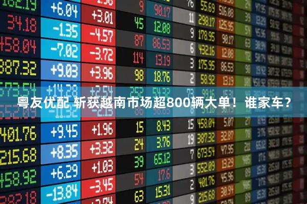 粤友优配 斩获越南市场超800辆大单！谁家车？